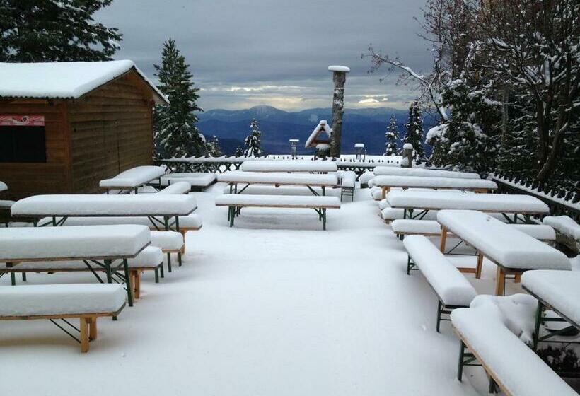 Общежитие Alpengasthaus Sonnhof