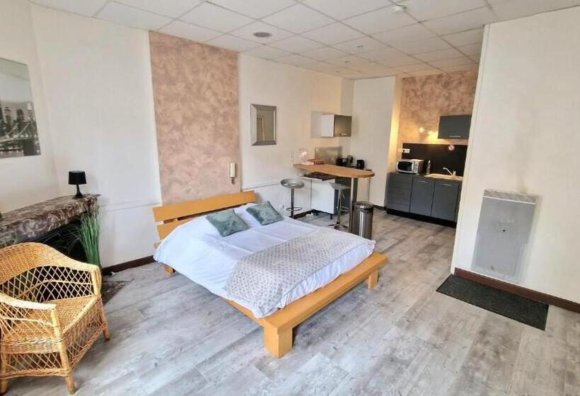 Appart Hôtel Roanne Hyper Centre Ville