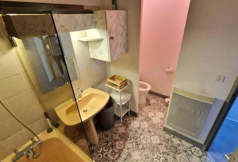 Appart Hôtel Roanne Hyper Centre Ville