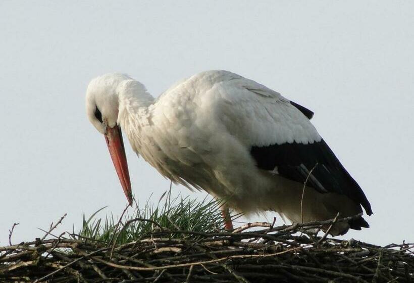 住宿加早餐 Erve Dikkeboer