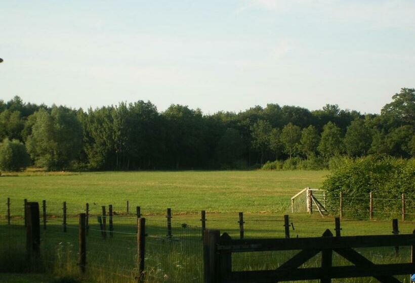 住宿加早餐 Erve Dikkeboer