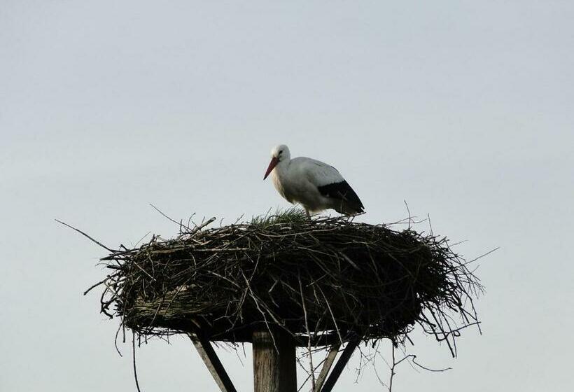 住宿加早餐 Erve Dikkeboer