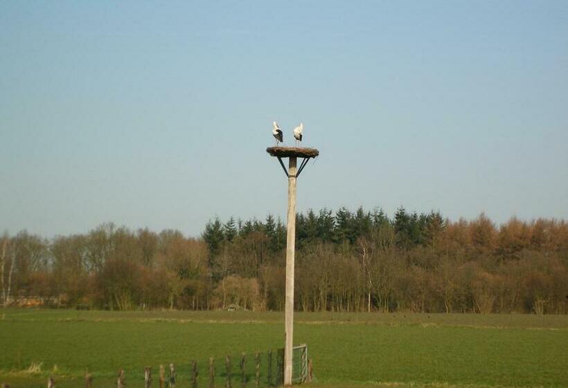 住宿加早餐 Erve Dikkeboer