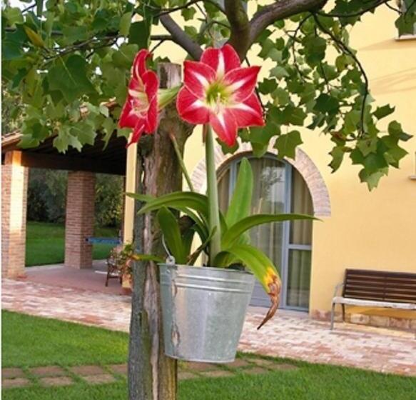 B&b Il Casolare Di Bonci