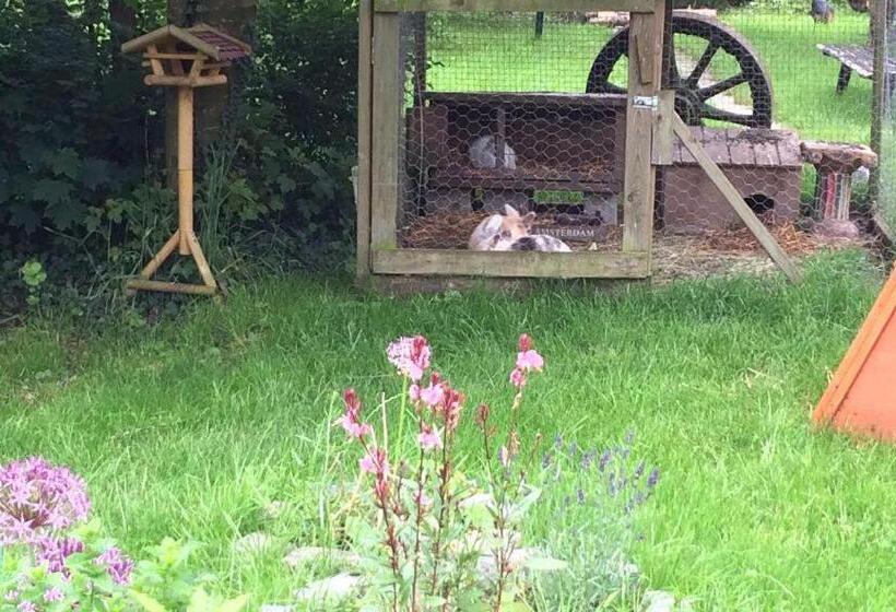 B&b Le Manoir D Ange