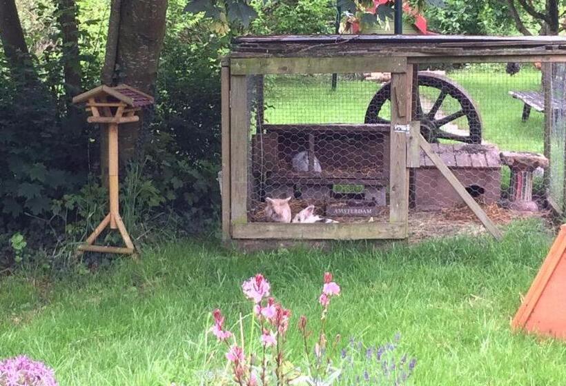 B&b Le Manoir D Ange