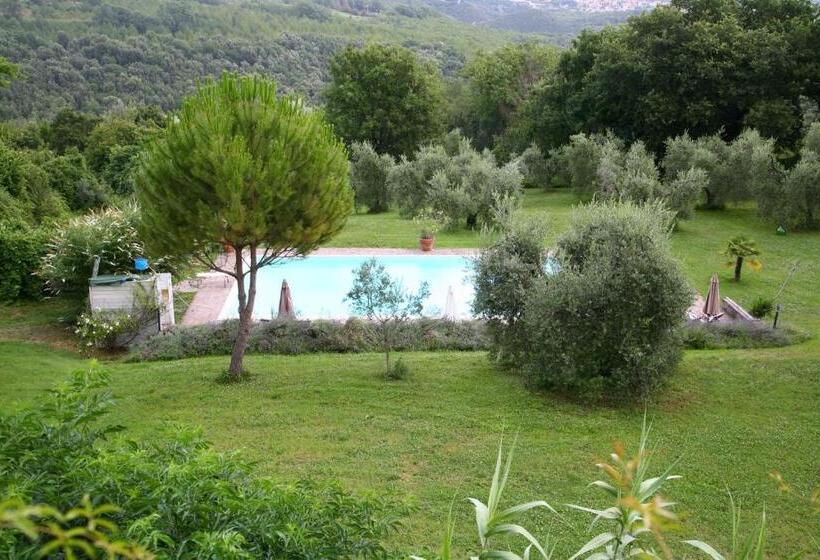 B&b Porchiano Del Monte