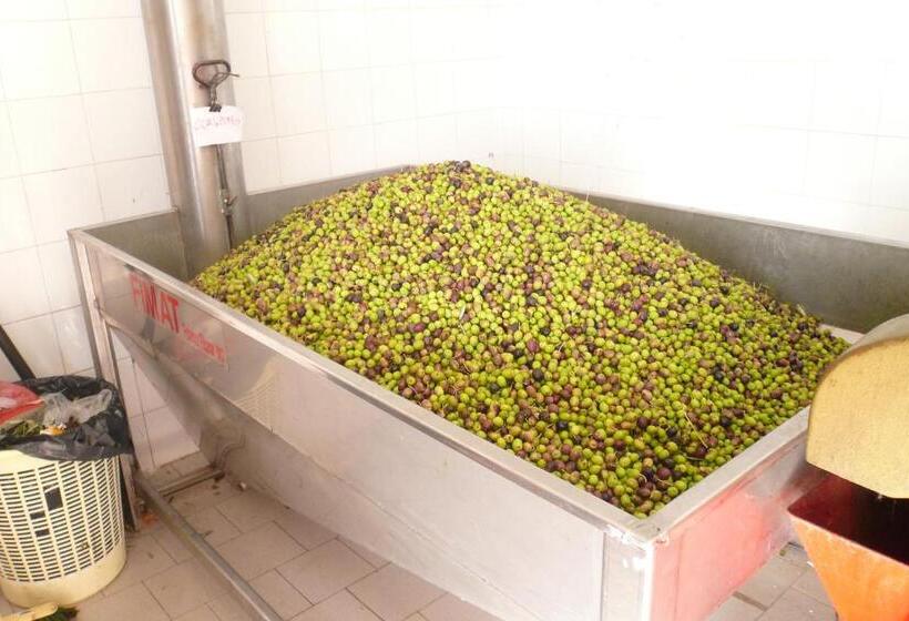 B&b Porchiano Del Monte