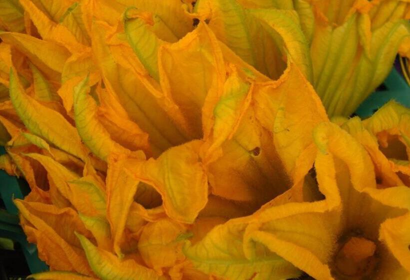 B&b Porchiano Del Monte