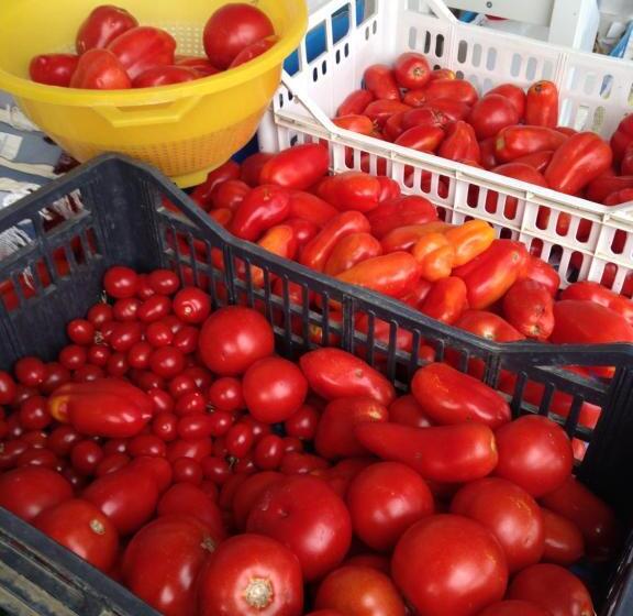 B&b Porchiano Del Monte