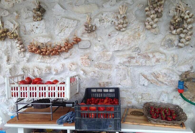 B&b Porchiano Del Monte