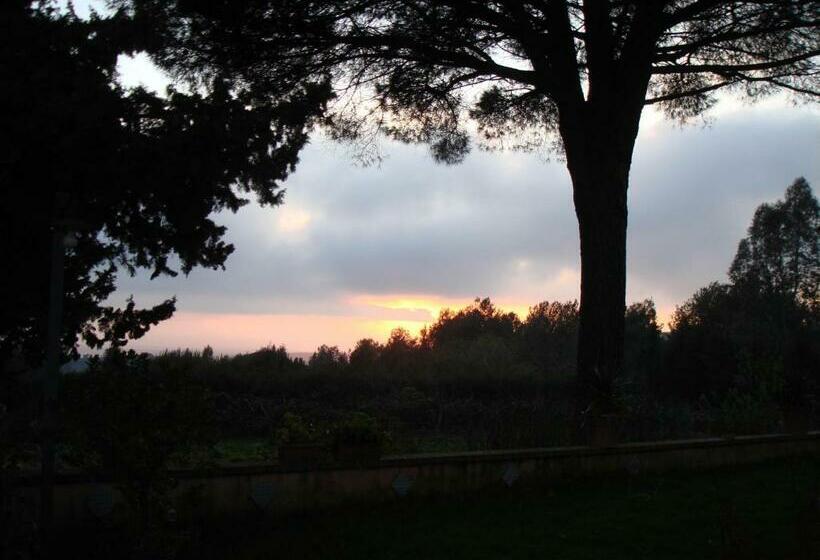 住宿加早餐  Ai Cipressi