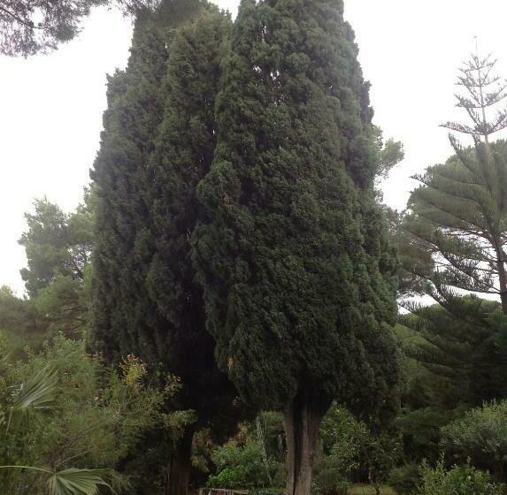 住宿加早餐  Ai Cipressi