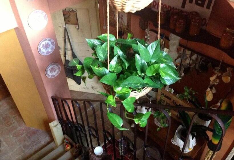 ベッドアンドブレックファースト Al Porretto