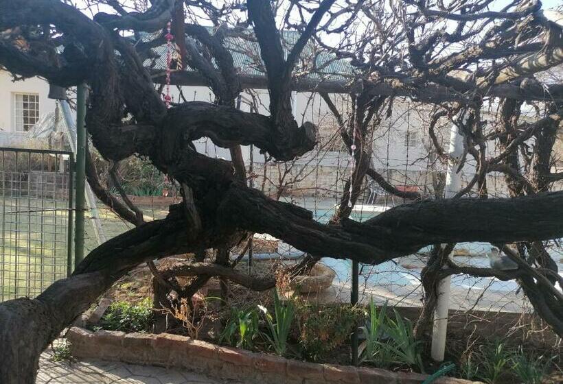 مبيت وإفطار Anker Guesthouse