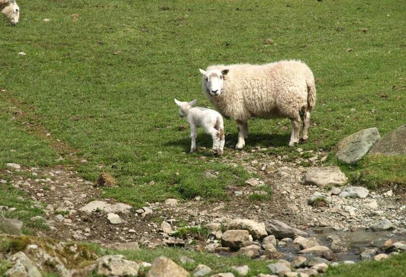 민박 Barn Gill House