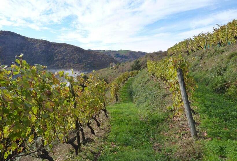 צימר Chambres D Hôtes   Domaine De La Grangeotte