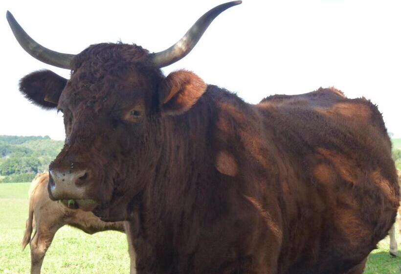 مبيت وإفطار Chambres D Hôtes   Domaine De La Grangeotte