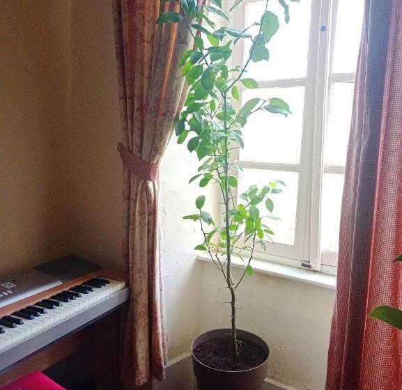 צימר Chateau View Chambres D Hôtes