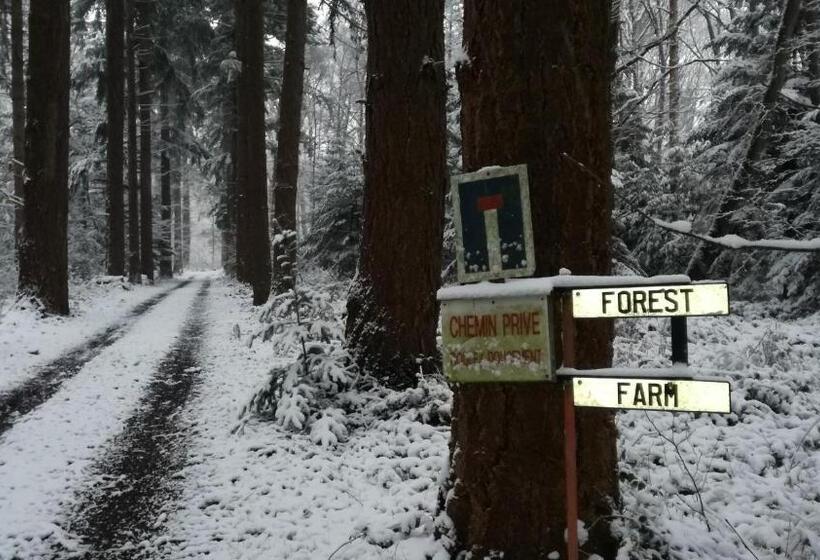 צימר Forest Farm