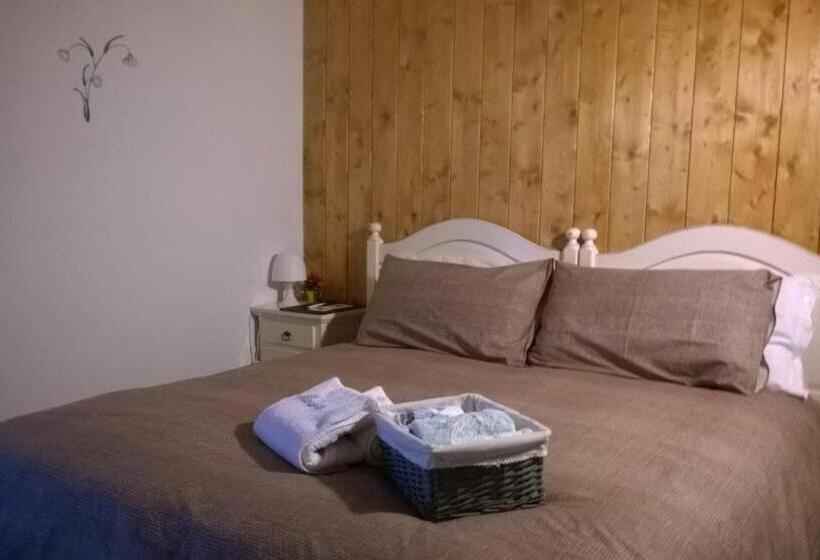 住宿加早餐  Il Maiolandro