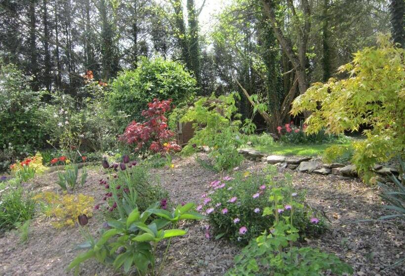 住宿加早餐  L Anctovillière