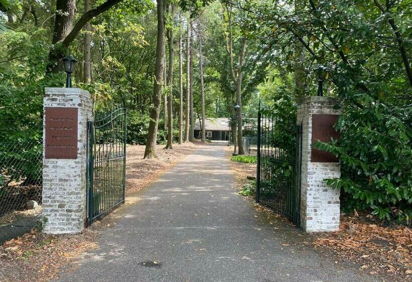 تختخواب و صبحانه T Wettenshuys