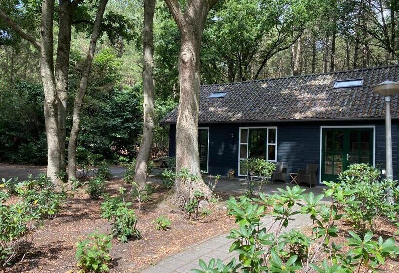 تختخواب و صبحانه T Wettenshuys