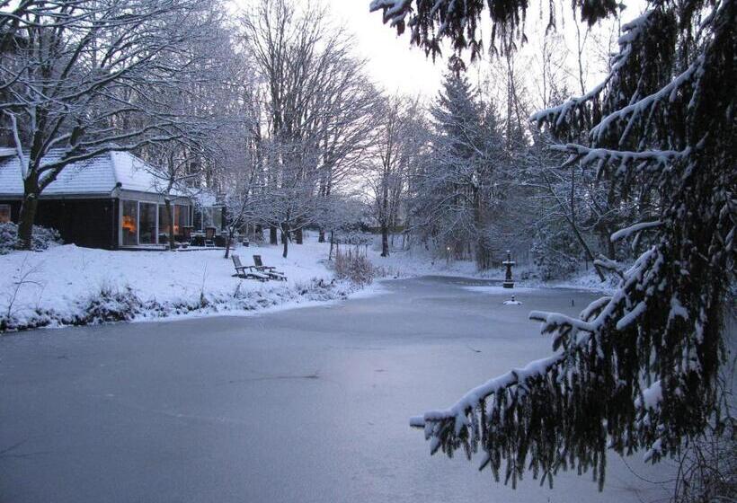 تختخواب و صبحانه T Wettenshuys