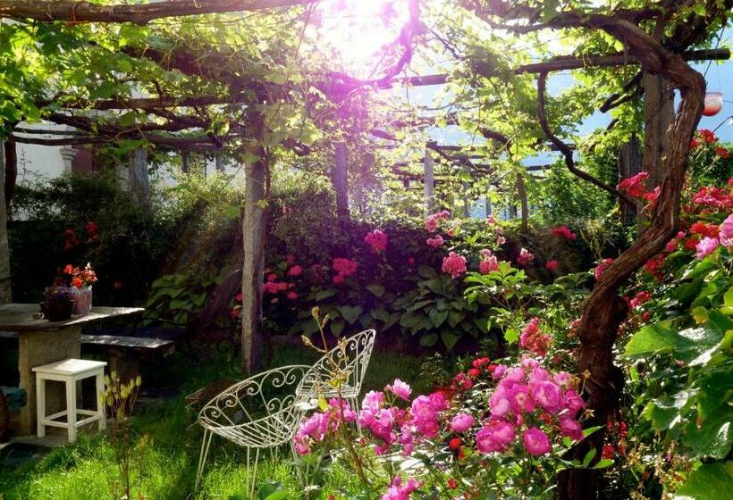 Bed & Breakfast Uvablu