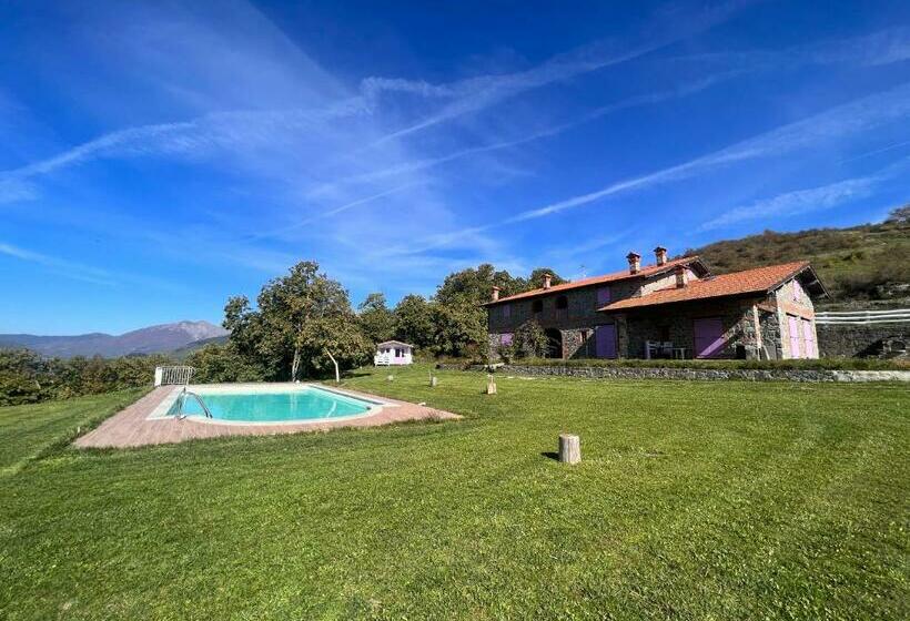 호텔 Agriturismo Il Serrino