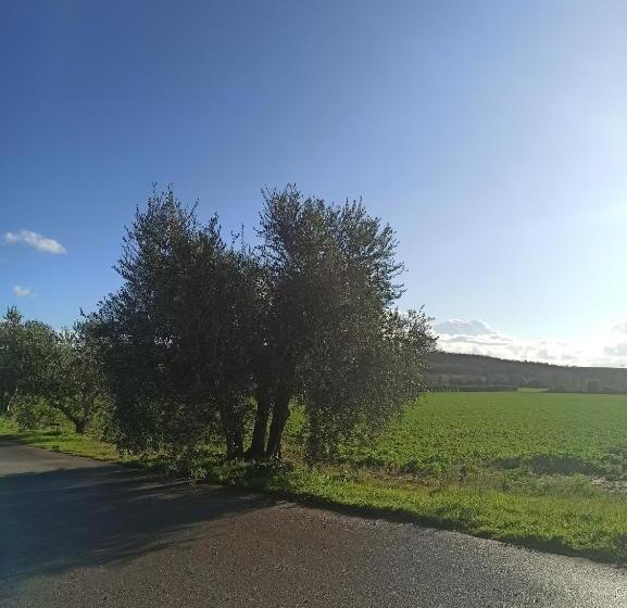 酒店 Agriturismo Oasi Del Pianettino