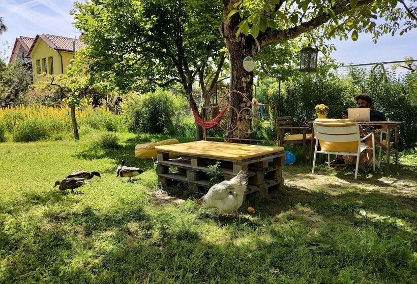 Отель Casa Das Palmeiras Pedagogic Farm