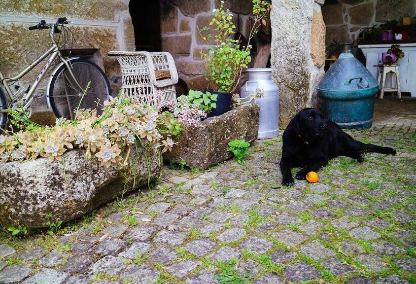Отель Casa Das Palmeiras Pedagogic Farm