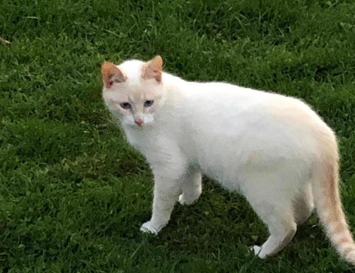 فندق Casas Dos Infantes   Turismo Rural