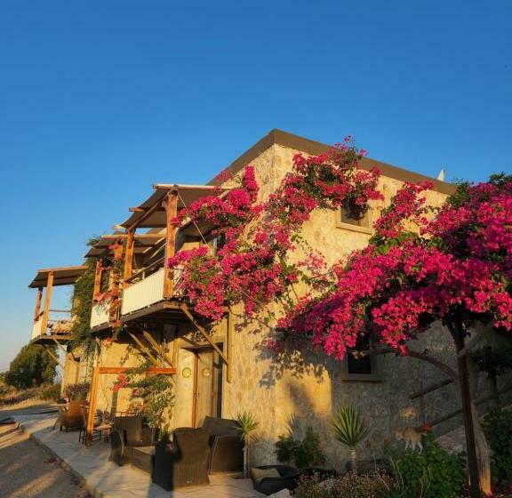 酒店 Eco Farm Boutique