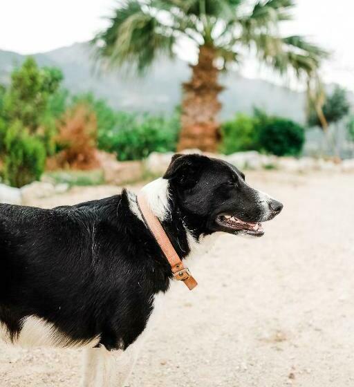 酒店 Eco Farm Boutique