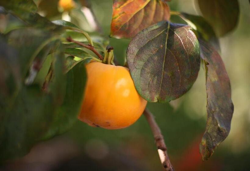 هتل Farmstay Kmetija štekar