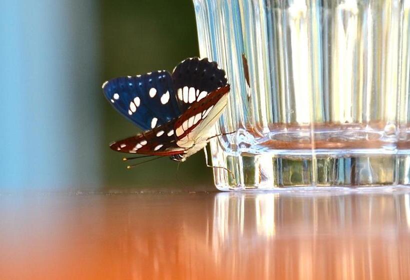 هتل Farmstay Kmetija štekar