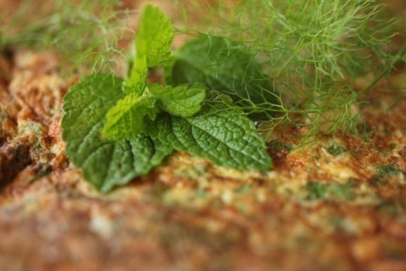 هتل Farmstay Kmetija štekar