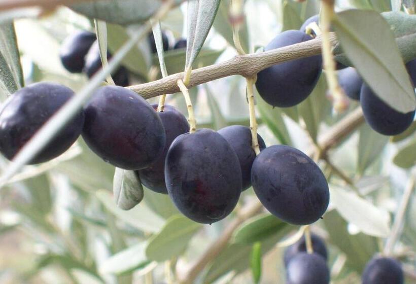 هتل Farmstay Kmetija štekar