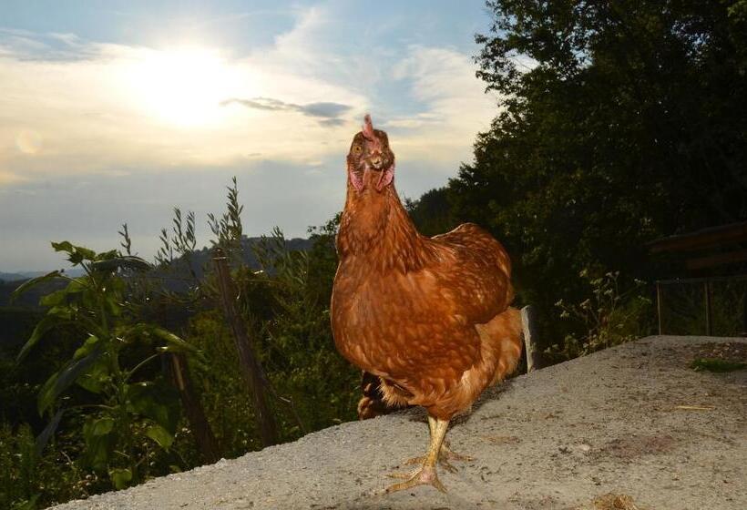 هتل Farmstay Kmetija štekar