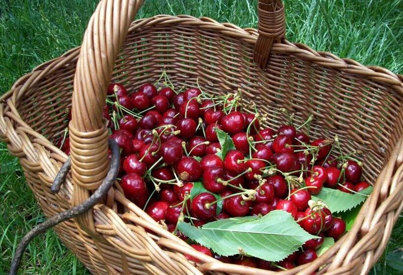 هتل Farmstay Kmetija štekar