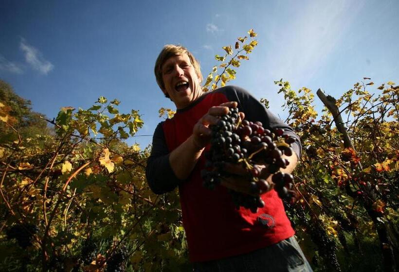 هتل Farmstay Kmetija štekar