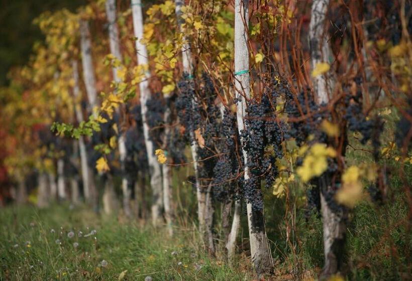 هتل Farmstay Kmetija štekar