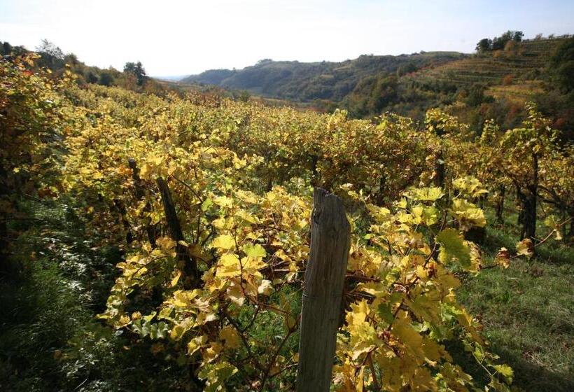 هتل Farmstay Kmetija štekar