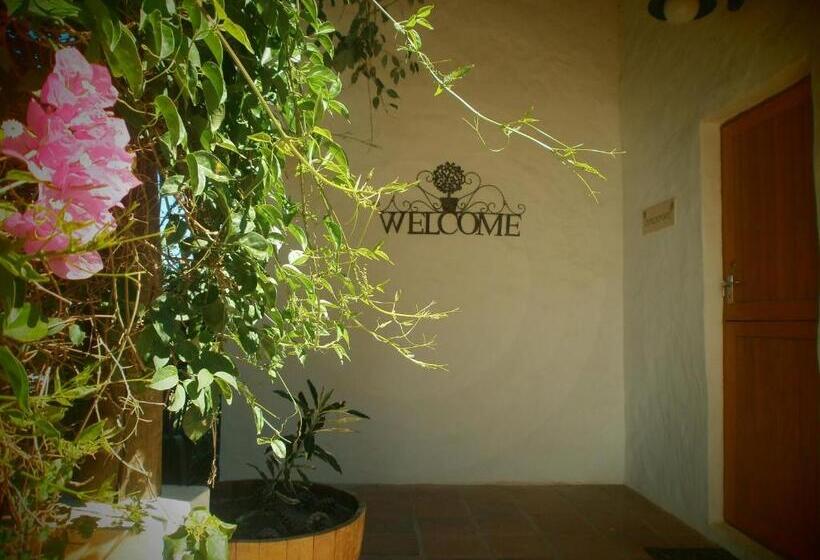 בית מלון כפרי Mooi Bly