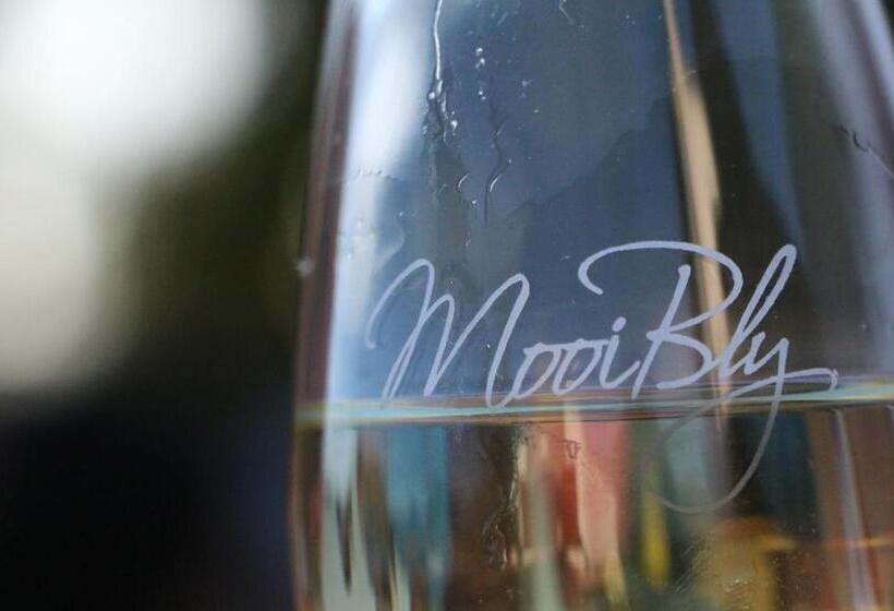 בית מלון כפרי Mooi Bly