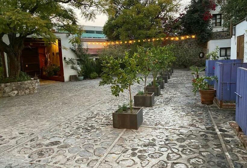 Posada Colibri   Hotel & Spa