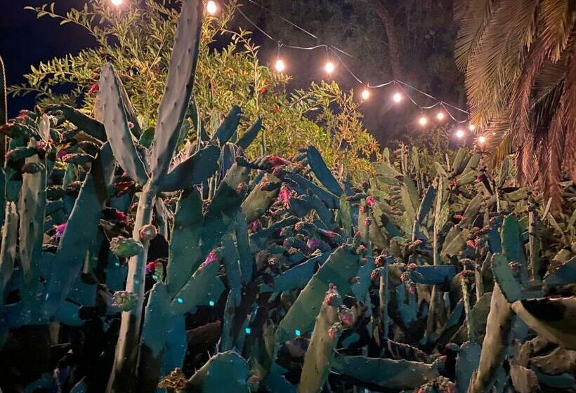 Posada Colibri   Hotel & Spa